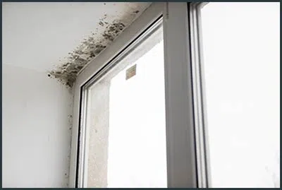 West Palm Beach Restoration Expert West Palm Beach, FL 561-406-0350 - content-mold