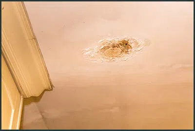 West Palm Beach Restoration Expert West Palm Beach, FL 561-406-0350 - content-water-leak